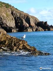 Aquaphobia Ramsey Island Power Boats