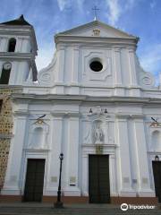 Metropolitan Cathedral Basilica of the Inmaculada Concepción