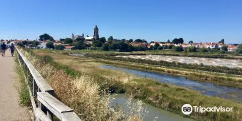 Marais du Mullembourg