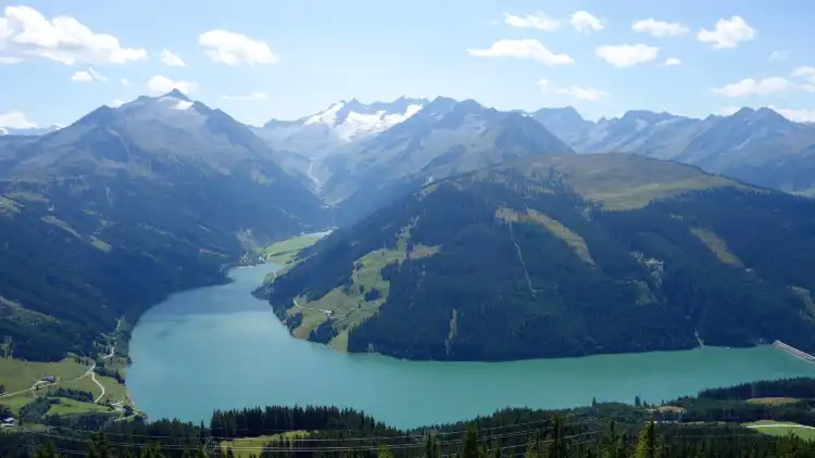 Wald im Pinzgau