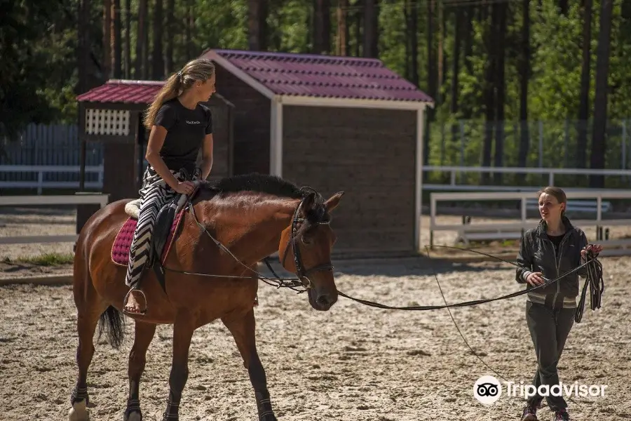 Horse Sport Club Komarovo
