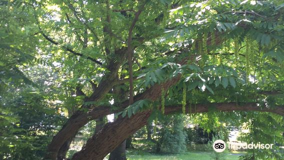 Wittelsbach Park large lawn