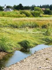 Scots Bay Provincial Park