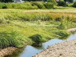 Scots Bay Provincial Park