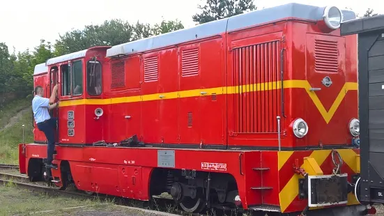 Narrow-gauge Bytom Upper Silesian Narrow Gauge Railways