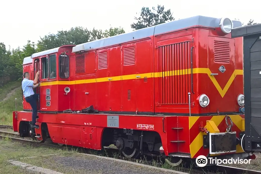 Narrow-gauge Bytom Upper Silesian Narrow Gauge Railways