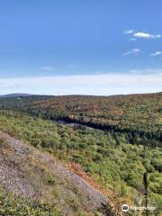 Brockway Mountain Dr