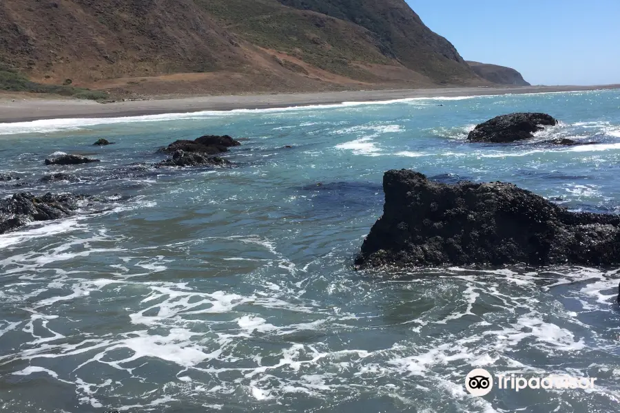 Lost Coast Scenic Drive