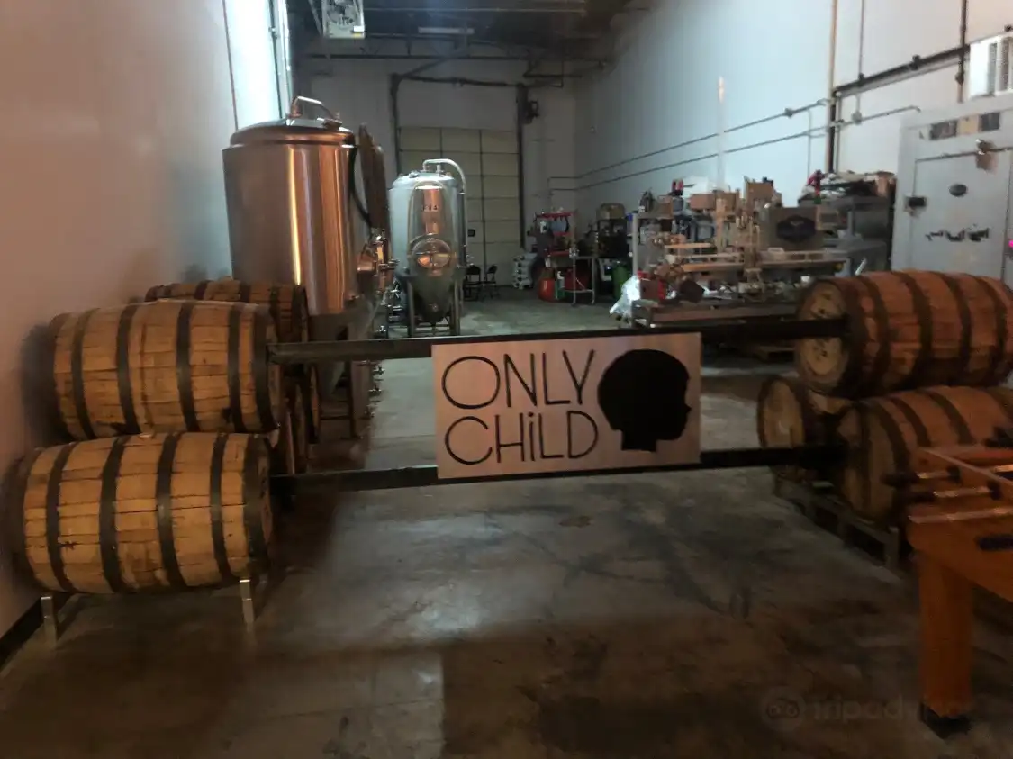 Hotels near Only Child Brewing Company