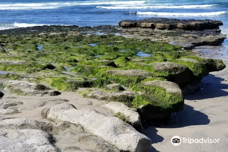 Eli Howard Surf School