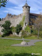 Cahir Castle