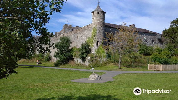 Cahir Castle