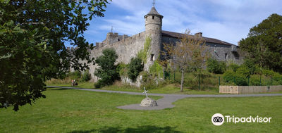 Cahir Castle