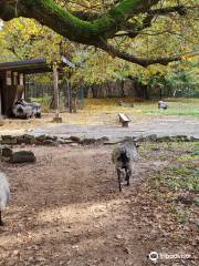 Wildpark Reuschenberg