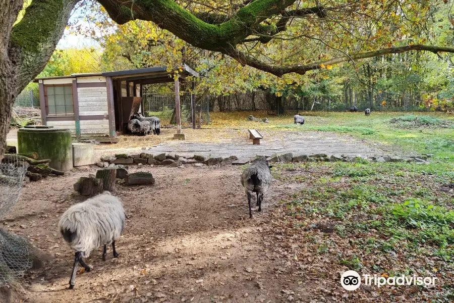 Wildpark Reuschenberg