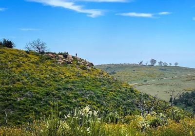 Charmlee Wilderness Park