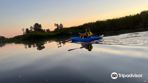 Pitt Polder Ecological Reserve