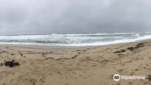 Coast Guard Beach