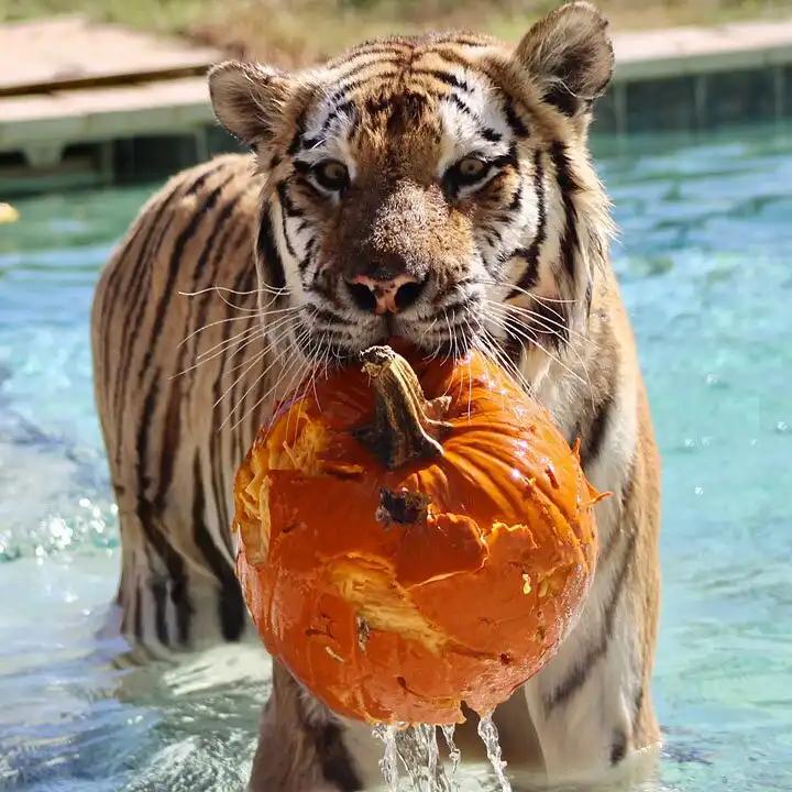 فنادق في Litaker