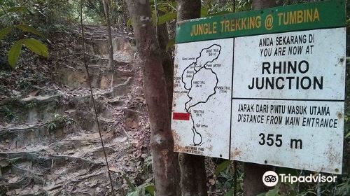 Jungle Trekking Taman Tumbina Bintulu