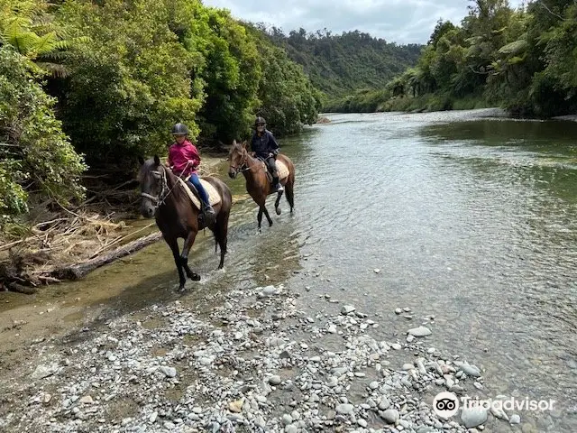 Punakaiki Horse Treks