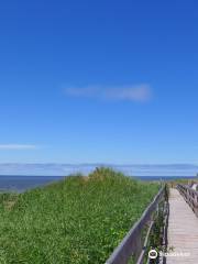 parc provincial de Cedar Dunes