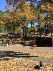 くじゅう自然動物園