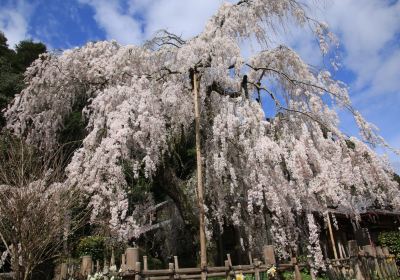 Onodera Temple