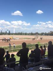 Hipodromo de Mendoza