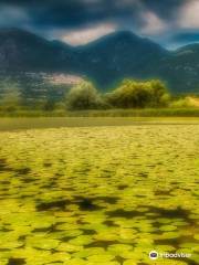 Riserva parziale naturale dei Laghi Lungo e Ripasottile