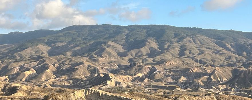 Western Leone