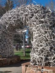 Antler Arches of Jackson