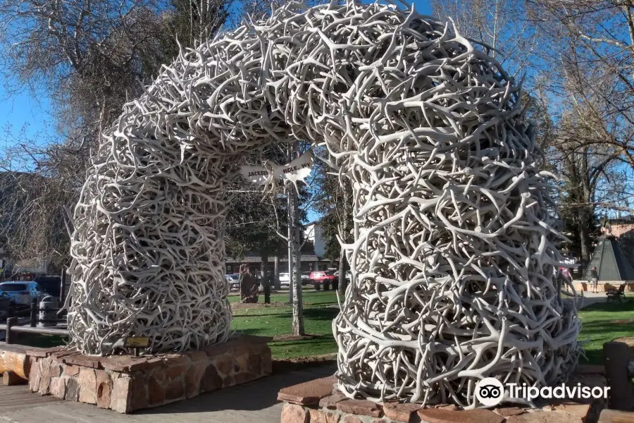 Antler Arches of Jackson