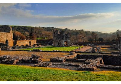 Mellifont Abbey