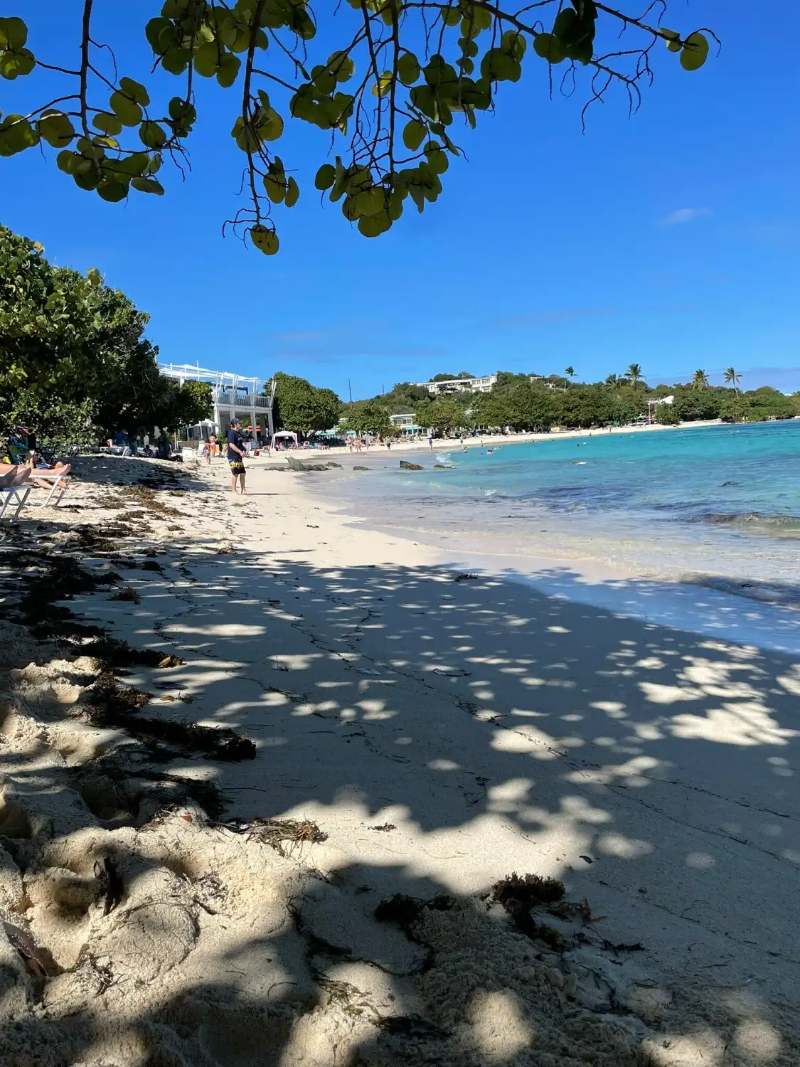 Hotels near Sapphire Beach Marina