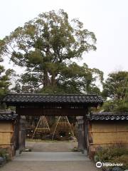 Hikoso Ryokuchi Park