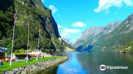 Naeroyfjord
