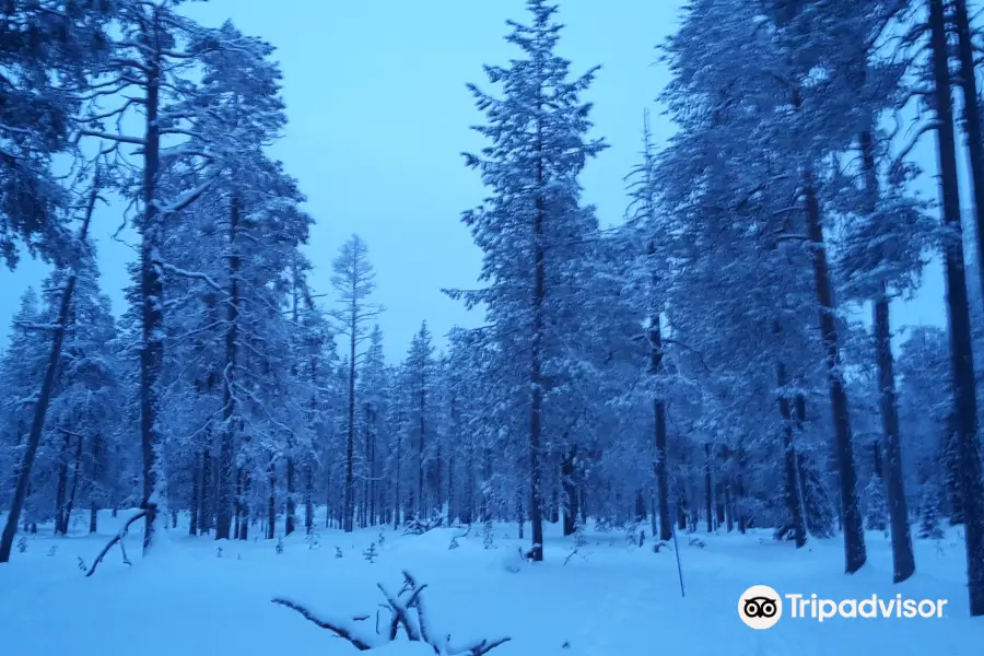 Pyha-Luosto National Park