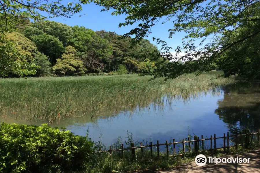 大宮公園