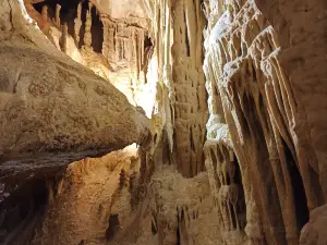 Cueva del Puerto