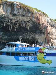 Moonfish Glass Bottom Catamaran