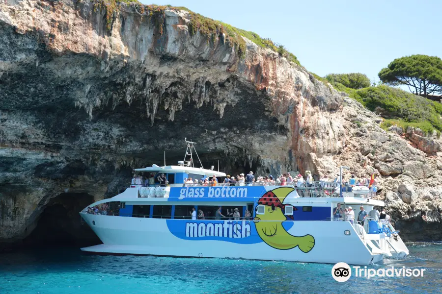 Moonfish Glass Bottom Catamaran