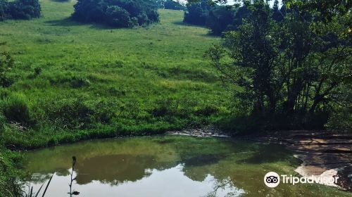 New Germany Nature Reserve