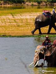 Ban Ta Klang Elephant Village