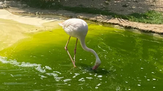 Amazon World Zoo Park