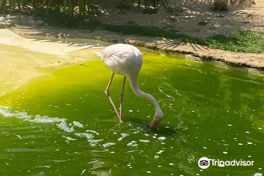 Amazon World Zoo Park