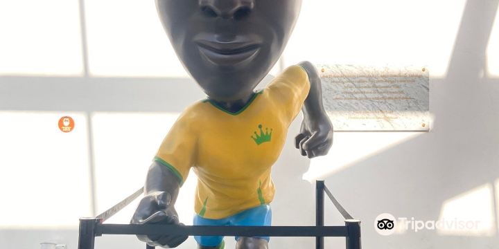Museu Pele