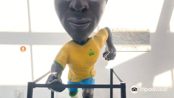 Museu Pele