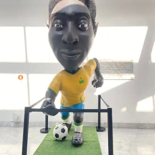 Museu Pele