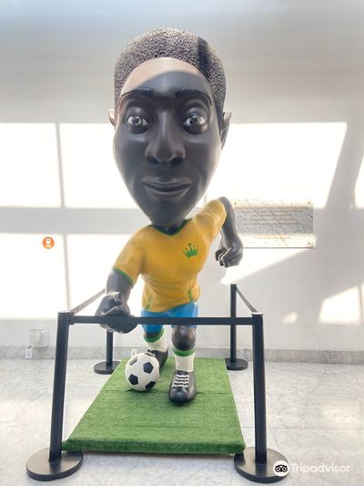Museu Pele